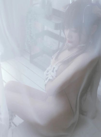 森林进化论_超清电影免费在线