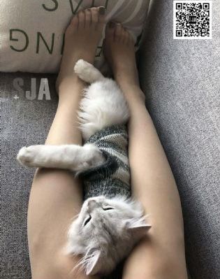 看了又看在线观看170集全集_剧情片免费电视剧