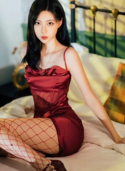 中文高清_DVD完整视频观看