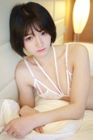 灵域电视剧在线观看完整版免费_1080P在线观看电视