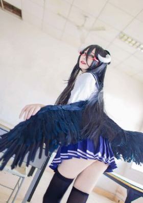 仙踪林在线视频_DVD高清电影在线